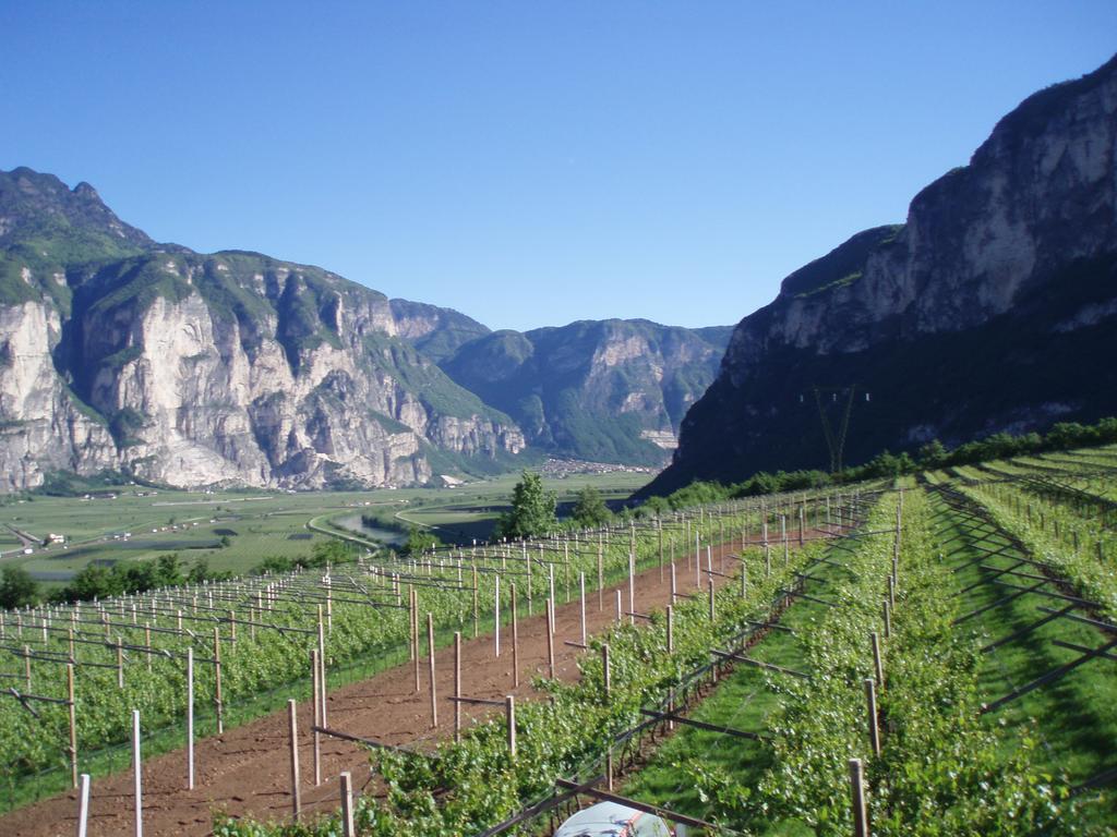 Agritur Maso Barco Villa Faedo Kültér fotó